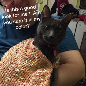 Meet your Posher, Nicole